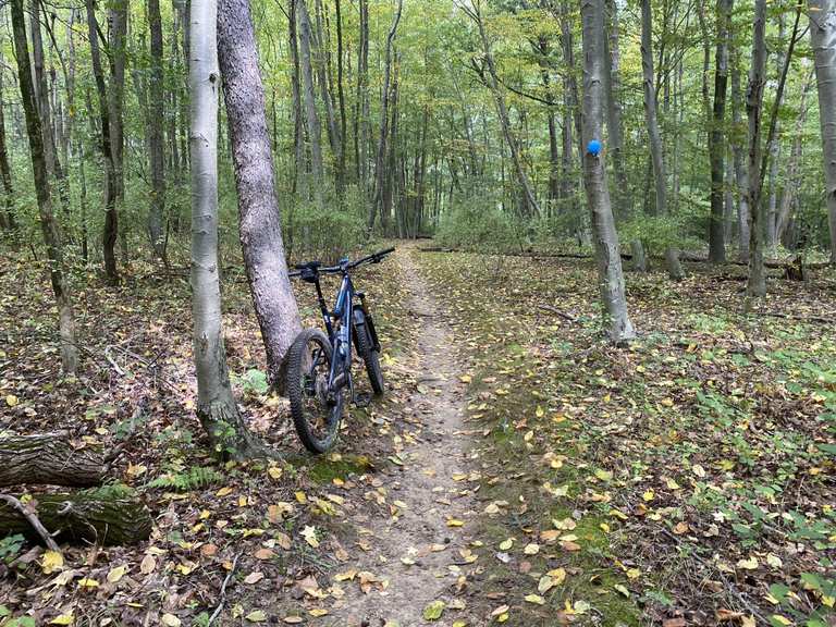 Loop del sentiero Blue — Mercer County Park | corsa | komoot