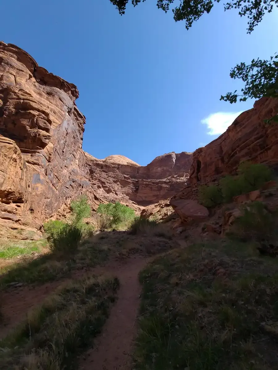 Narrow dirt path through a shaded canyon with tall red rock walls and blue sky. - Hunter Canyon Trail loop from Behind The Rocks Road