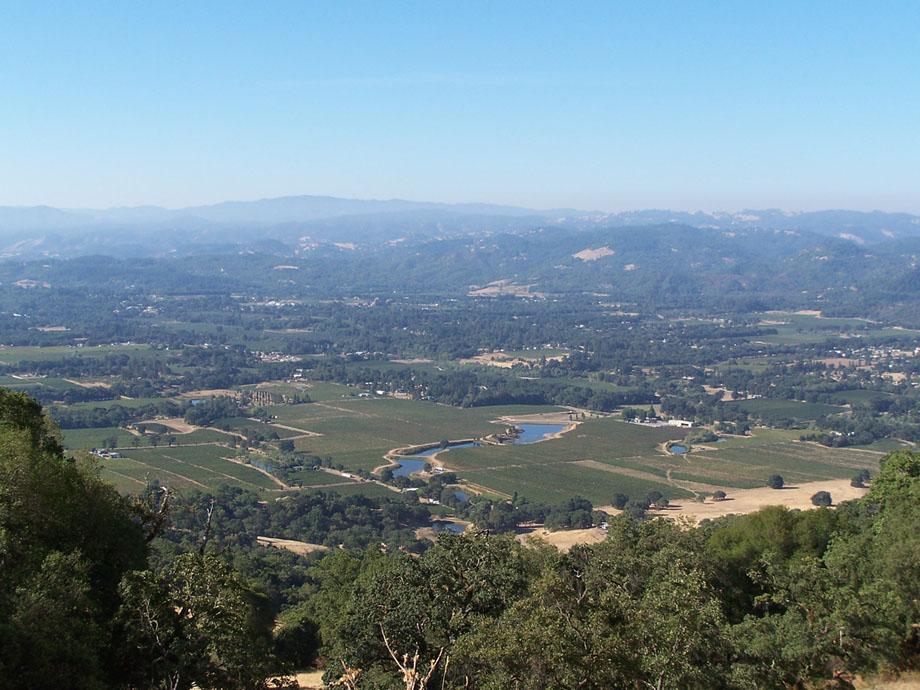 Panoramic view of a vast green valley with vineyards and lakes.