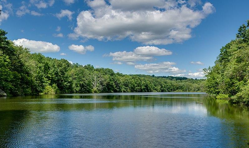 Wide, calm lake surrounded by lush green trees under a bright, cloudy sky.