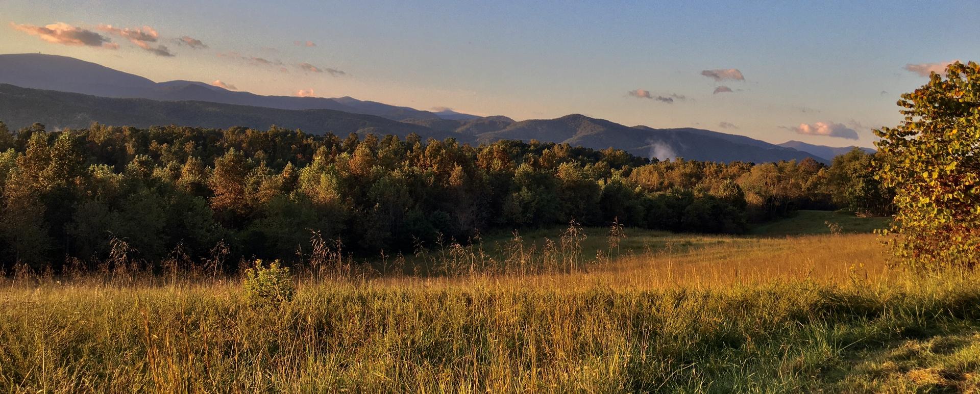 Golden hour light illuminates a grassy field, forest, and distant mountains.