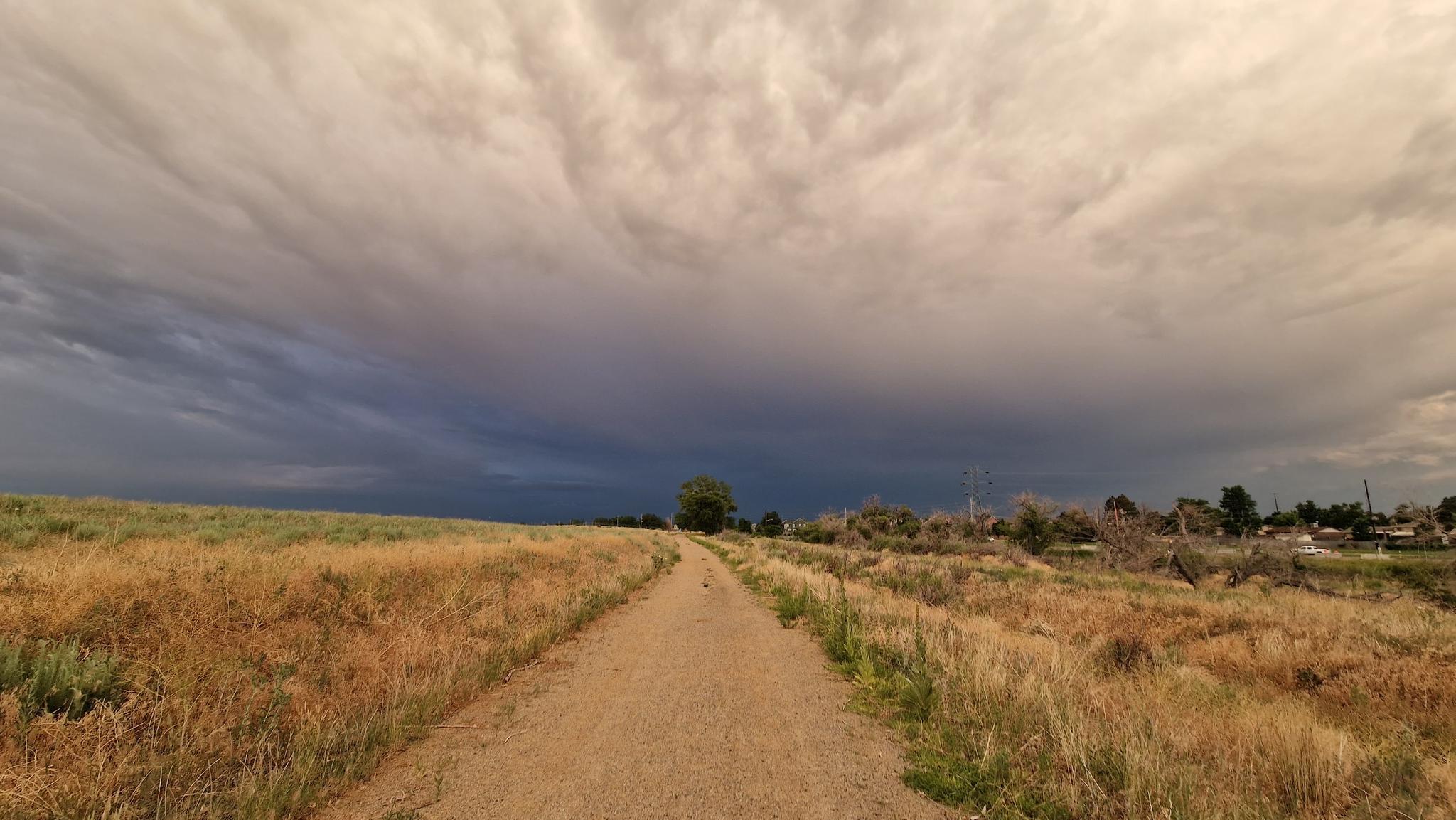 Dirt path through dry grass under a dark, stormy sky.