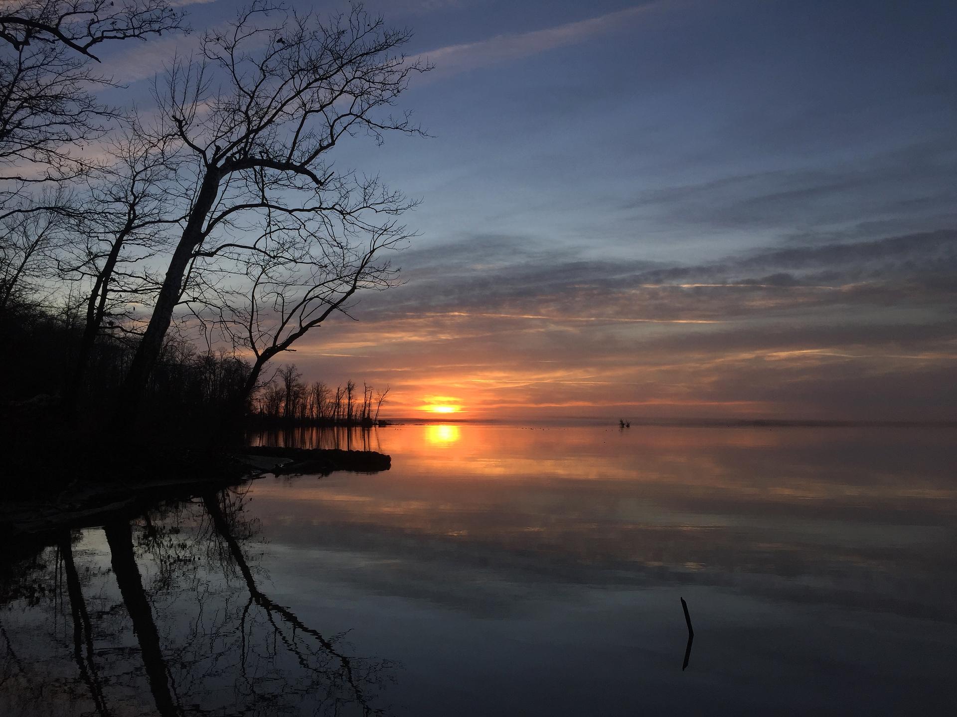 Golden sunset reflects on calm water with silhouetted bare trees.