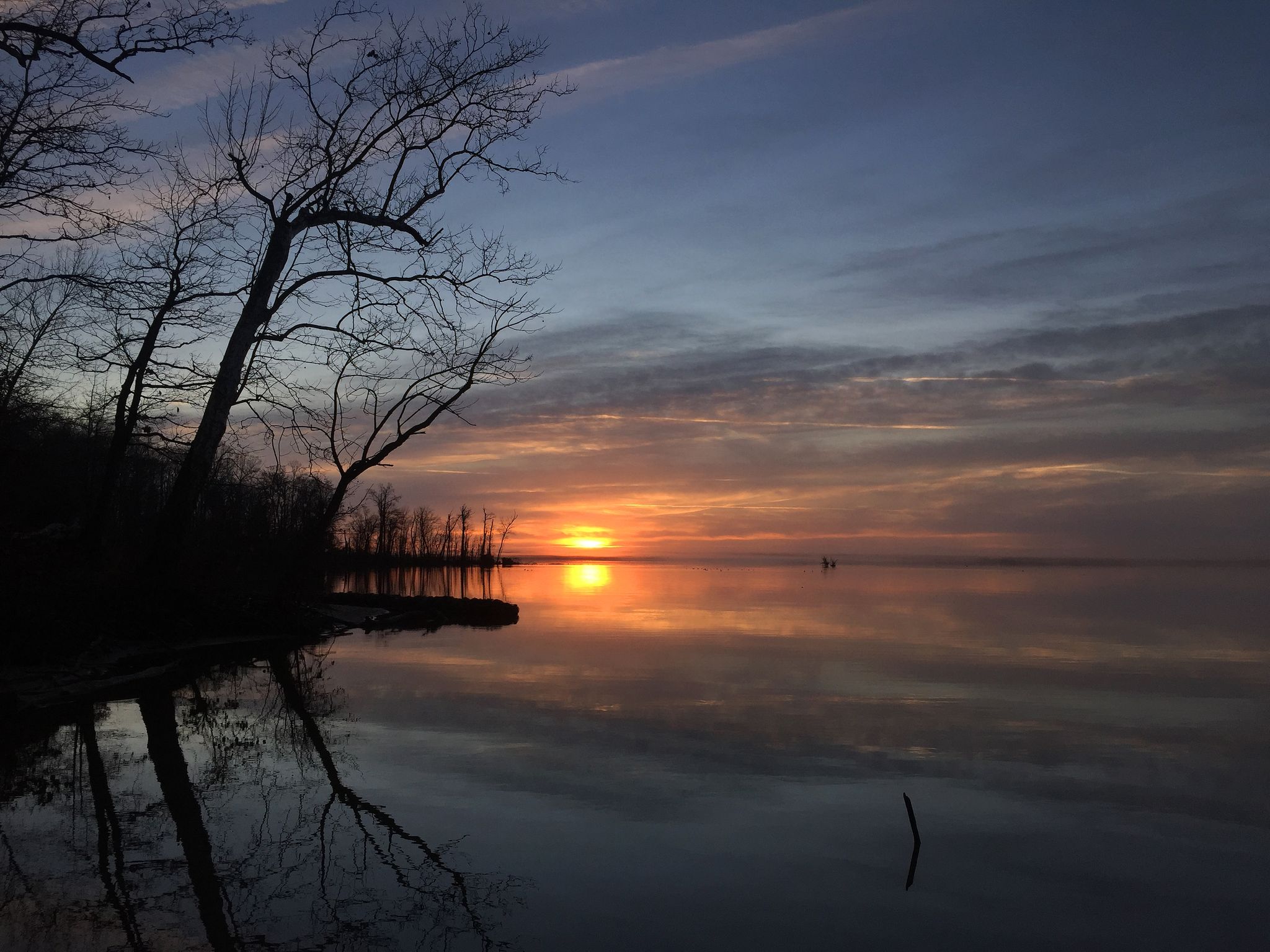 Golden sunset reflects on calm water with silhouetted bare trees. - Bushey Point and Powell's Creek Trail Loop