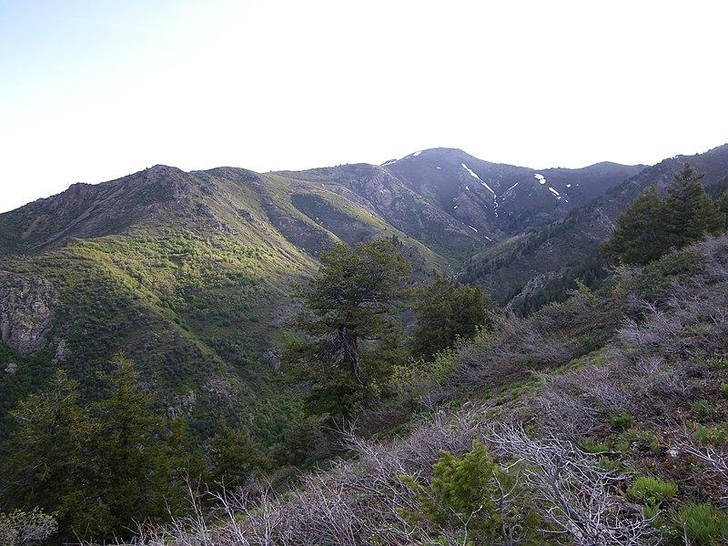 Lush green mountains with patches of snow under a bright sky.