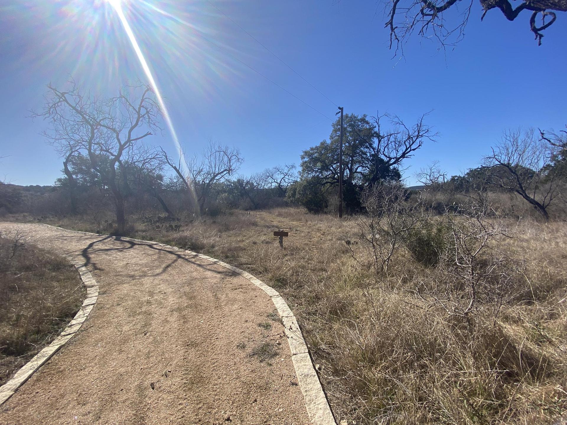 Sunny dirt path winding through dry, sparse landscape with bare trees.