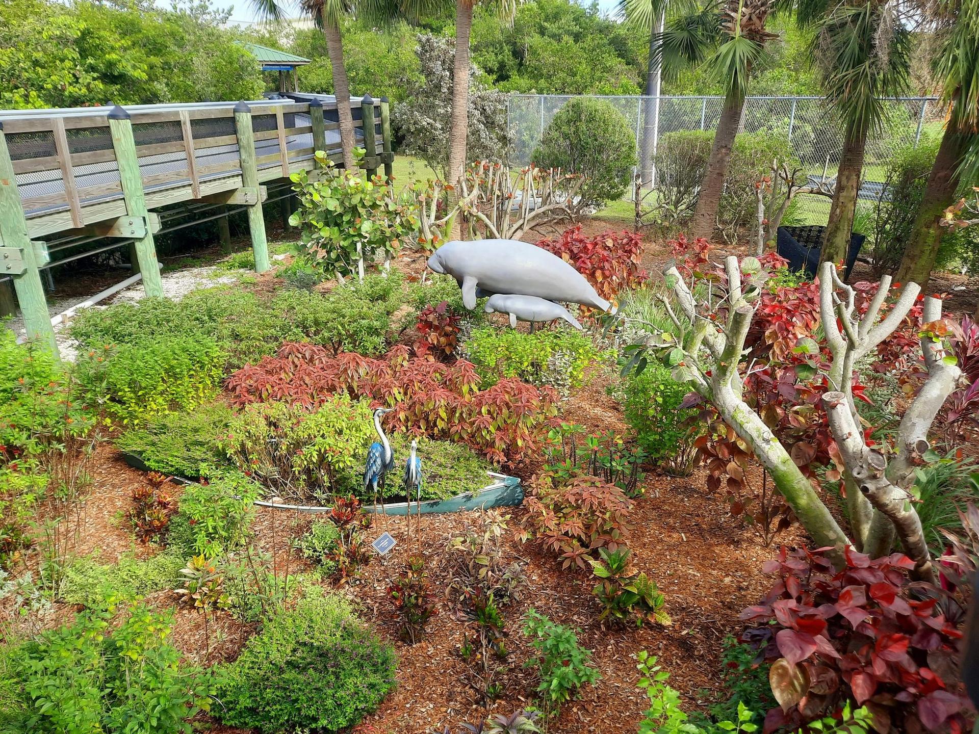 Lush garden with manatee and heron statues, wooden boardwalk, under bright daylight.
