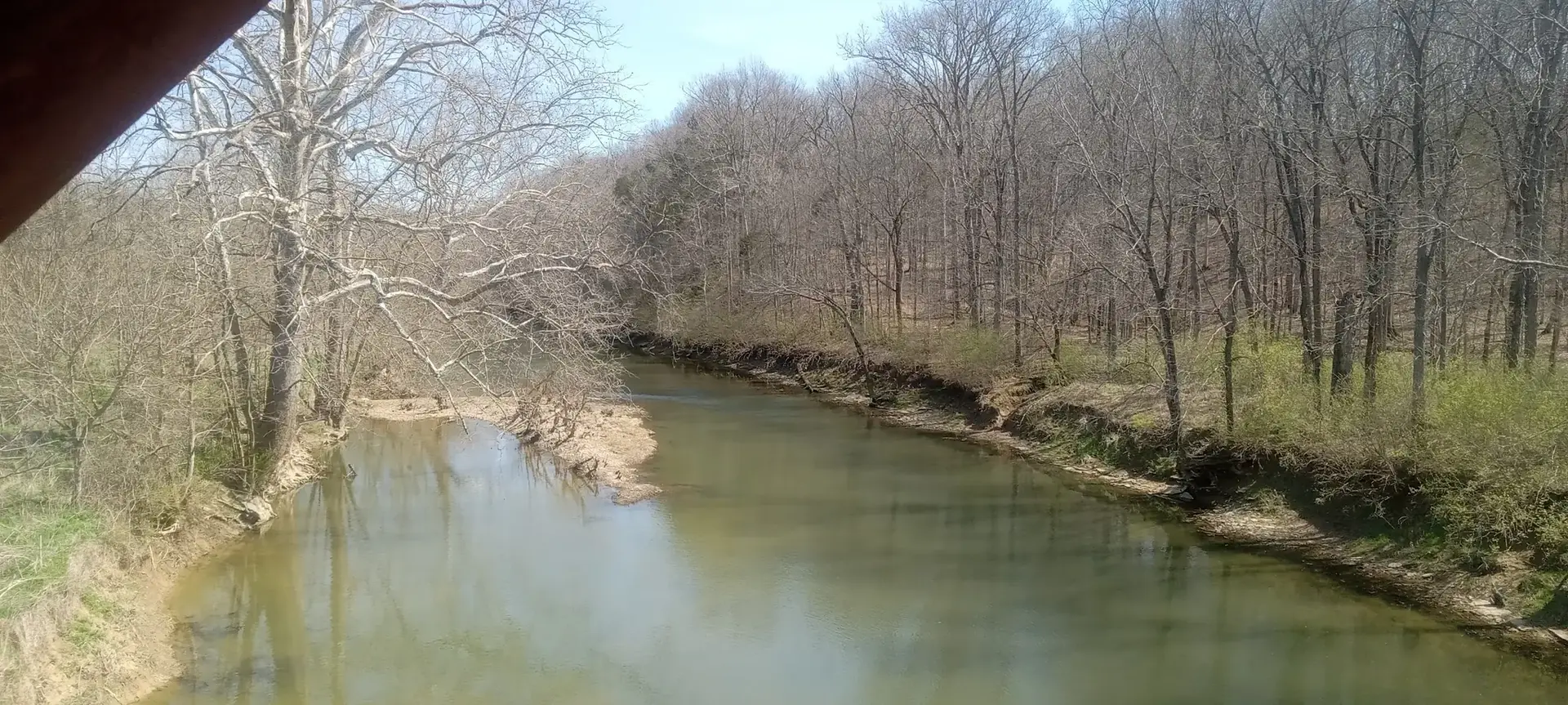 Calm river flowing through a forest of bare trees on a bright day.