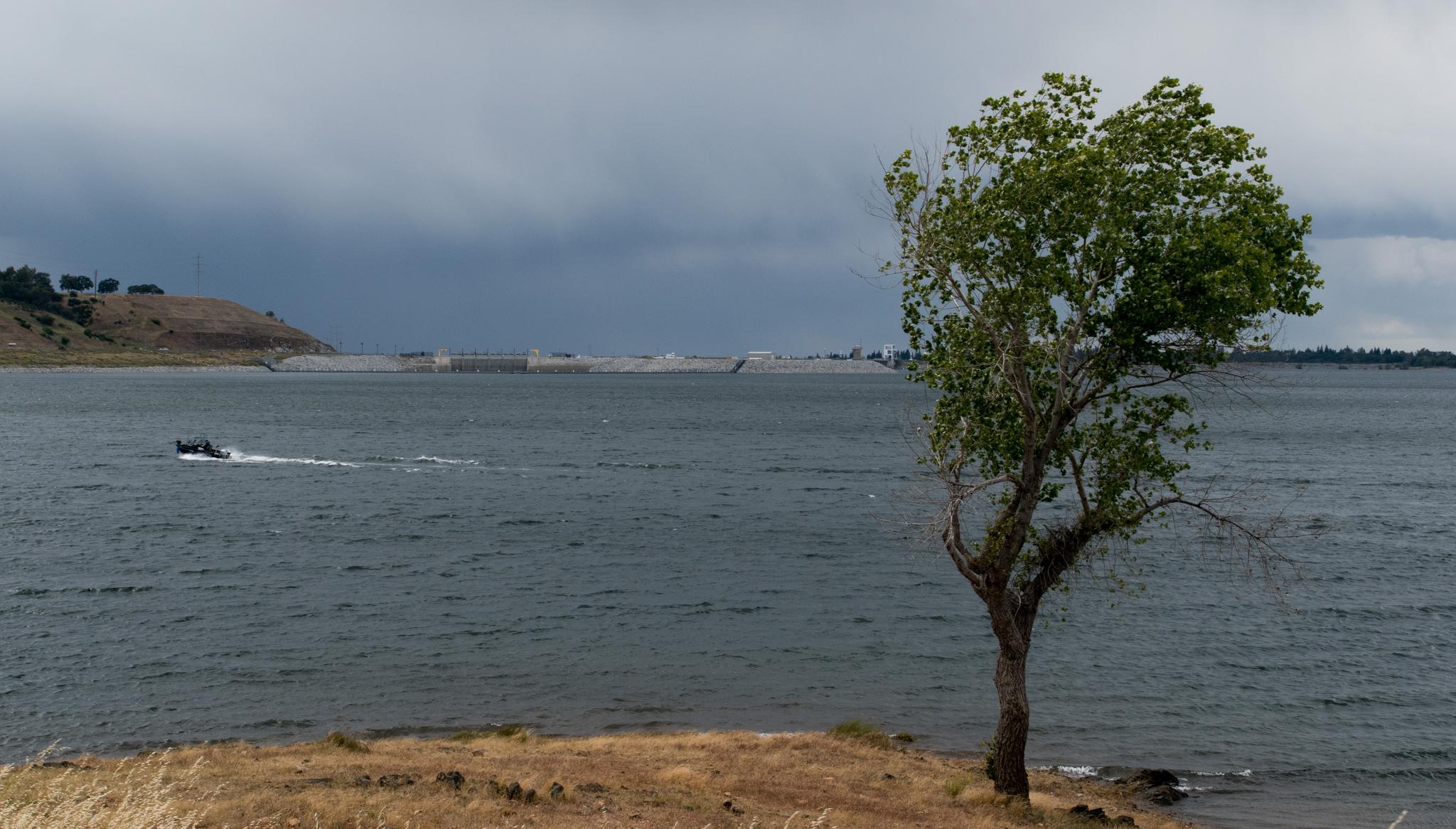 A lone tree overlooks a lake with a boat under cloudy skies.