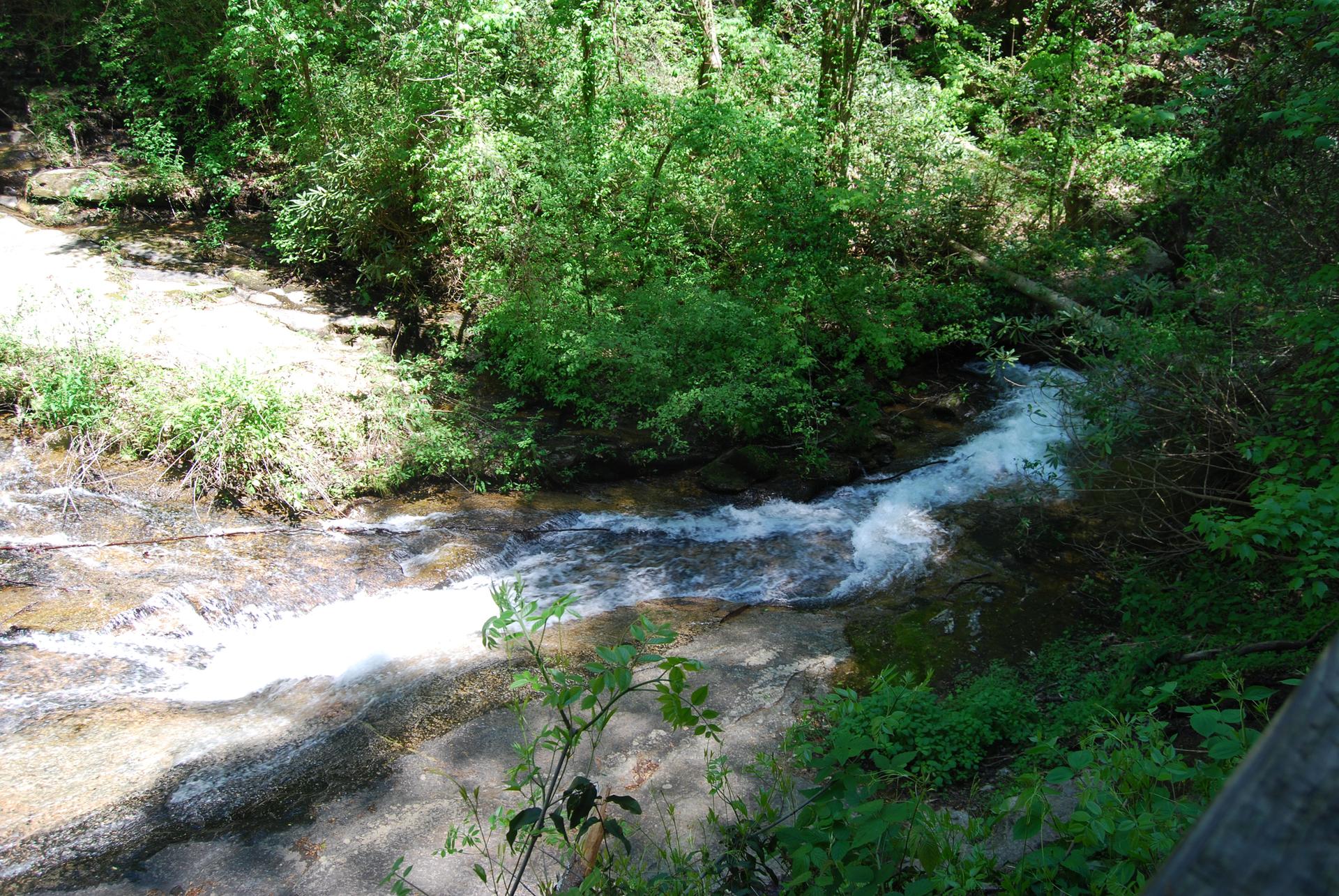 A small rocky stream flows through a lush green forest in dappled light.