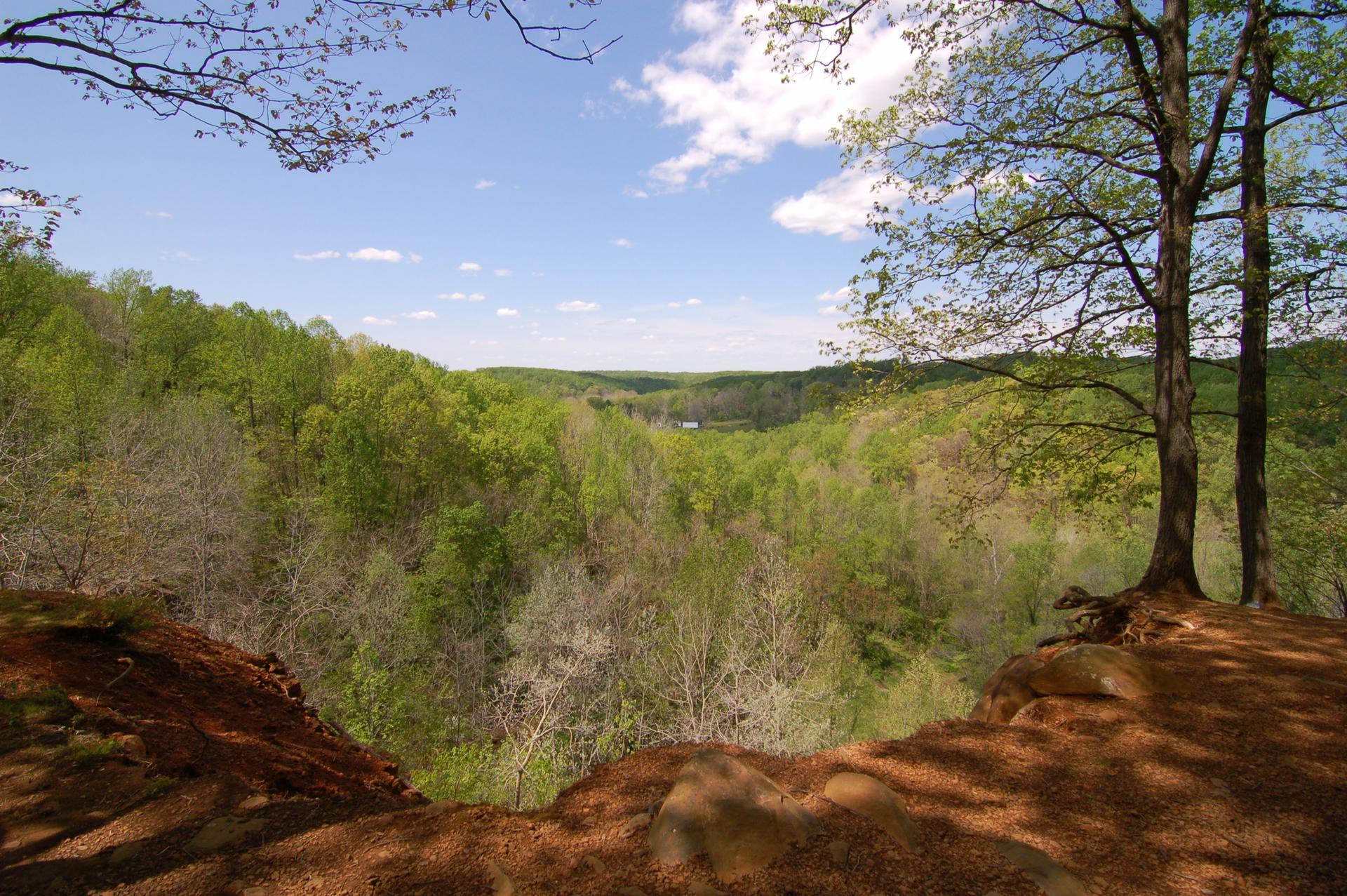 Panoramic view of a vast green forest valley from a cliff edge.