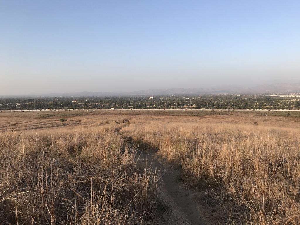 Narrow dirt path through dry, golden grass with a distant city.