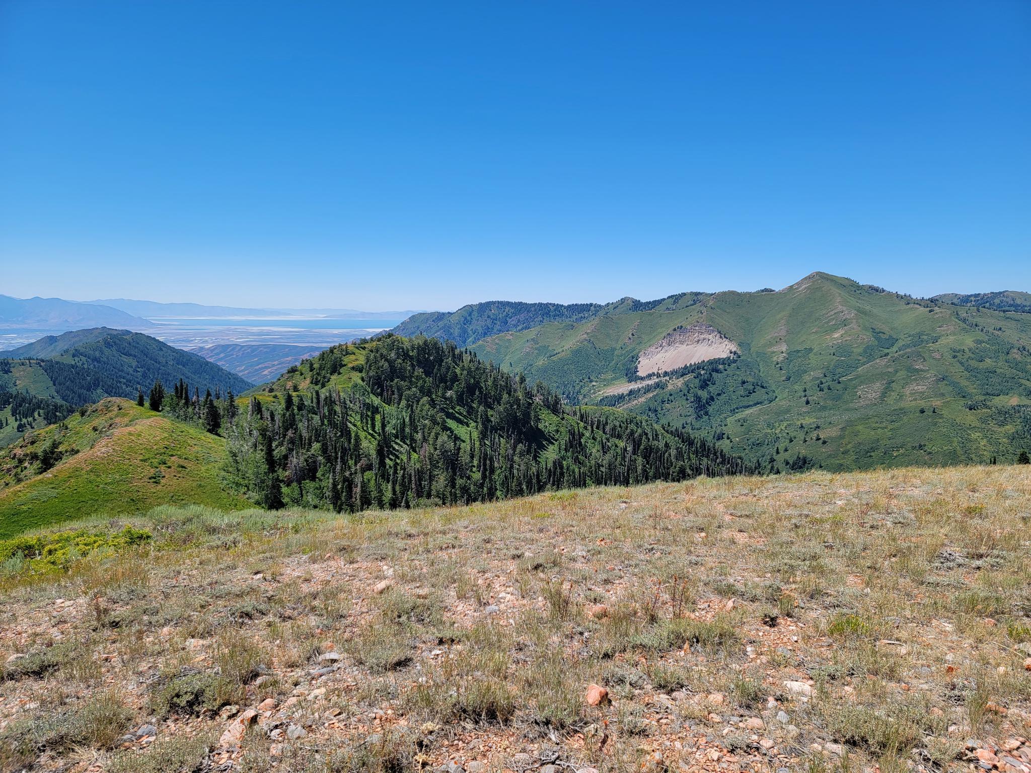 Sunny mountain vista with green slopes, dense trees, and a distant valley view.
