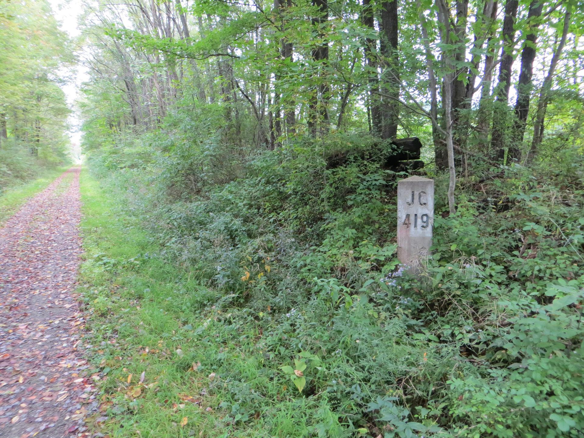 A concrete marker post stands beside a leafy dirt path in a forest.