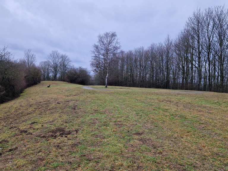 bernhartsh-he-wanderungen-und-rundwege-komoot