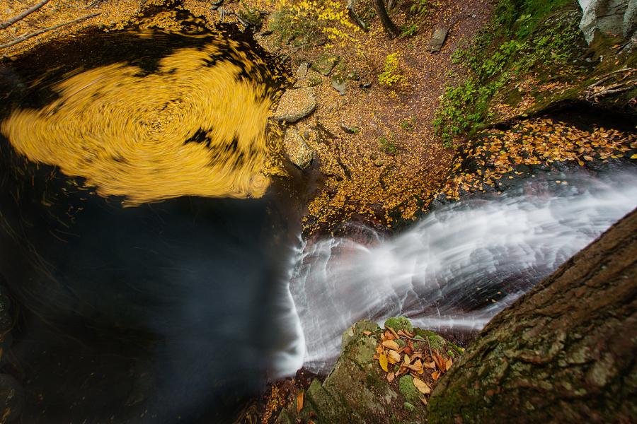 Overhead view of a waterfall cascading into a dark pool with swirling yellow leaves.
