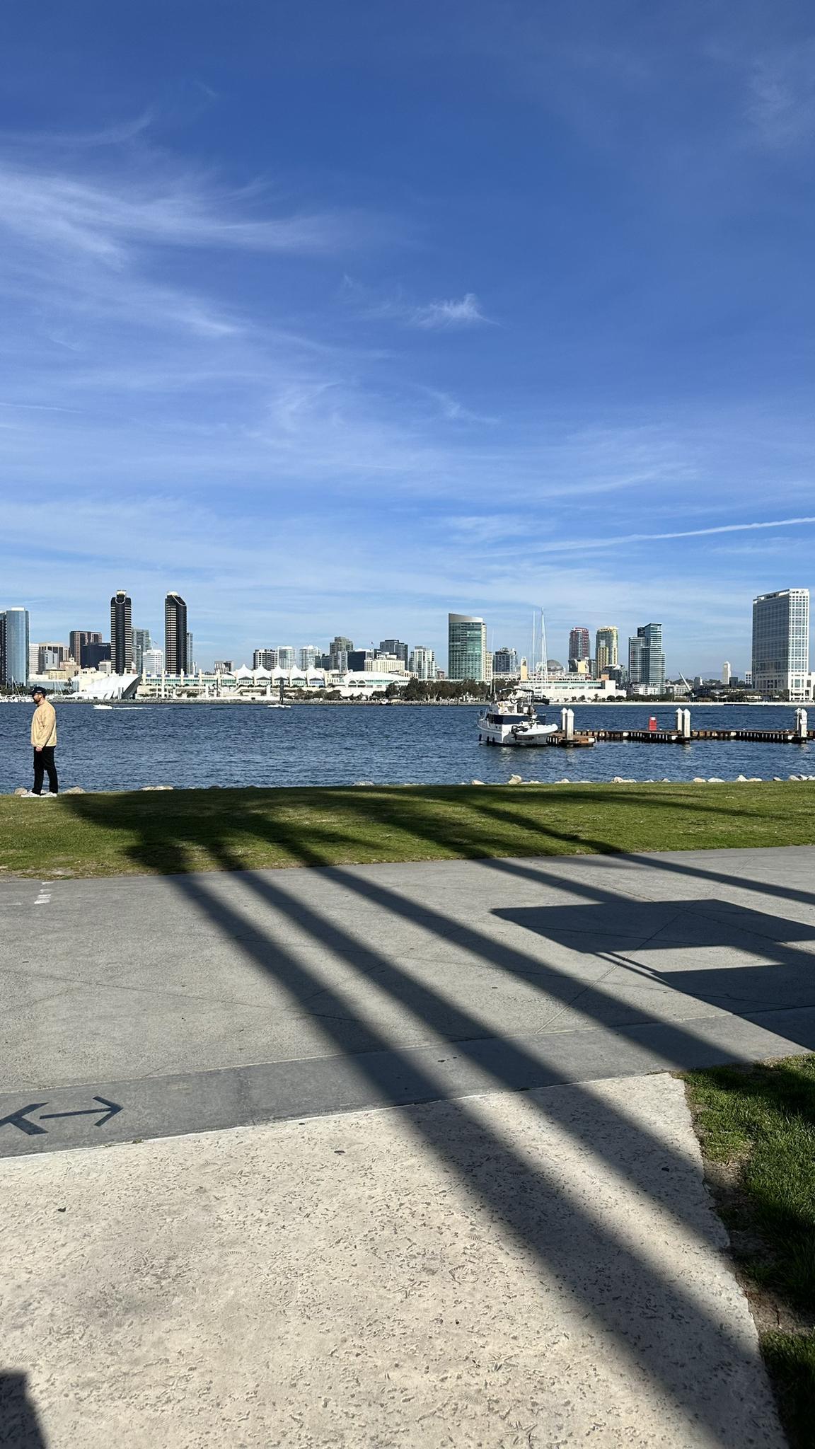 Person on grassy shore with long shadows, facing a distant city skyline.
