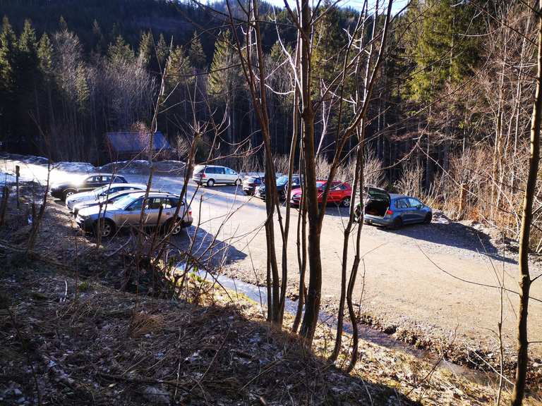 Parkplatz Döllerer Wald Wanderungen und Rundwege komoot