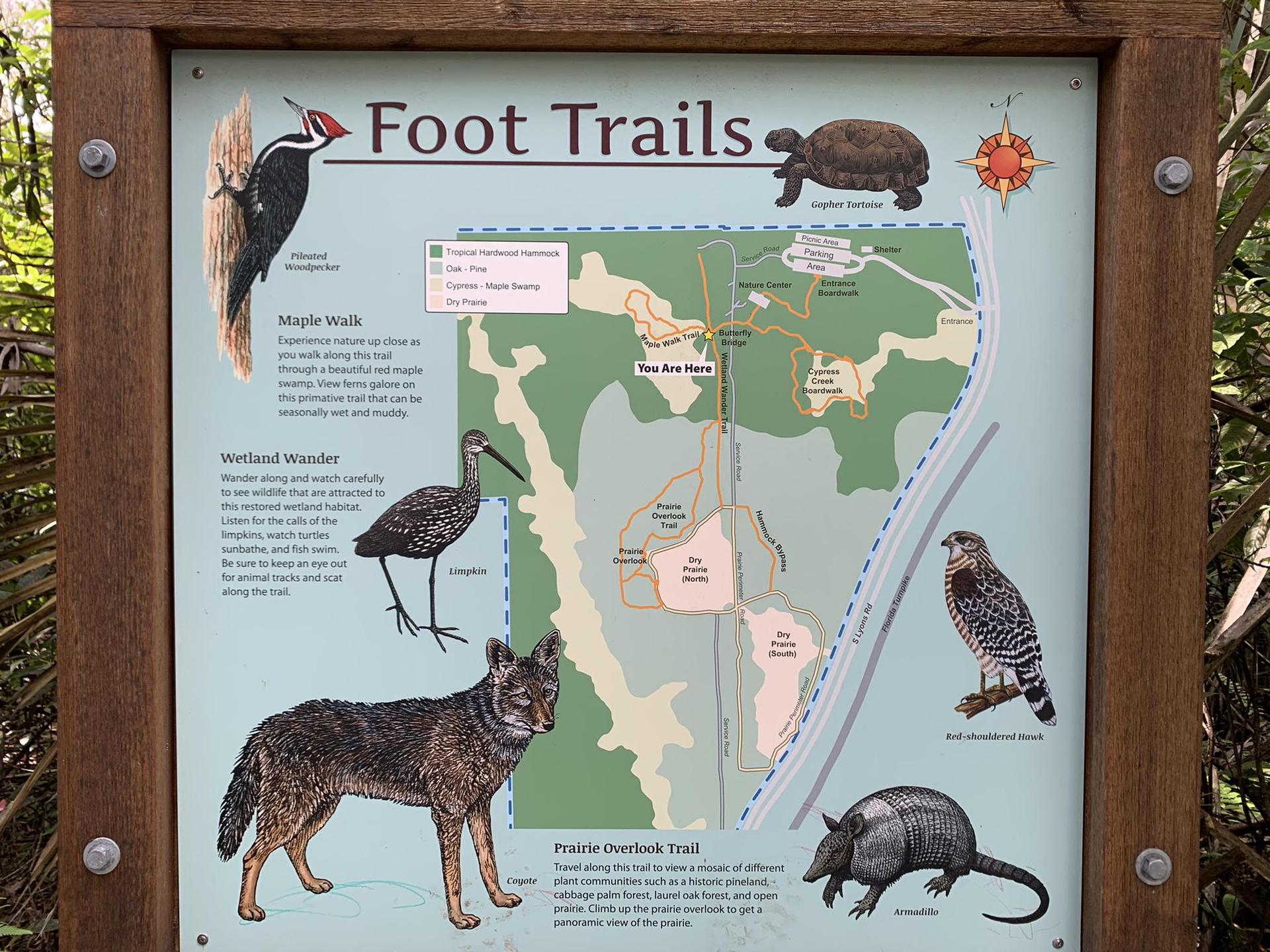 A wooden sign displays a trail map and illustrations of wildlife in bright daylight.