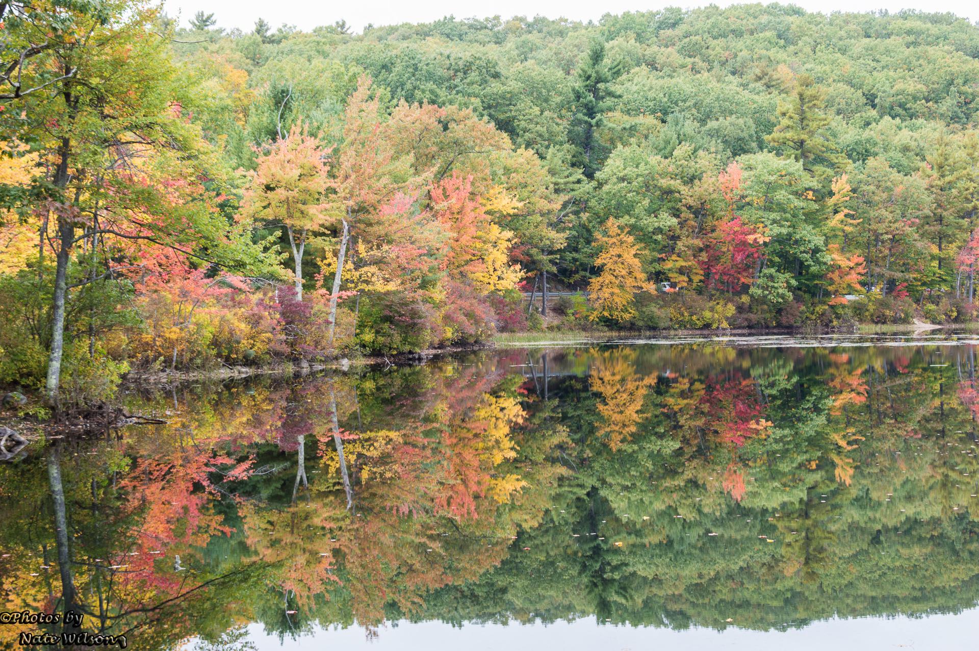 Colorful autumn trees reflected in calm lake water on an overcast day.