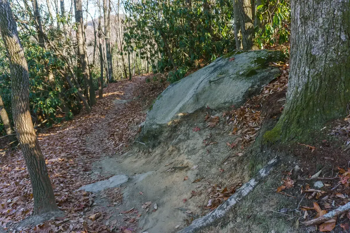 A winding dirt path through a sunlit forest with trees and a large rock. - Hickory Mountain Loop Trail loop from Stone Mountain