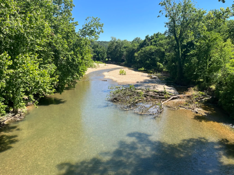 Sunny river with sandy banks and lush green trees under a blue sky.