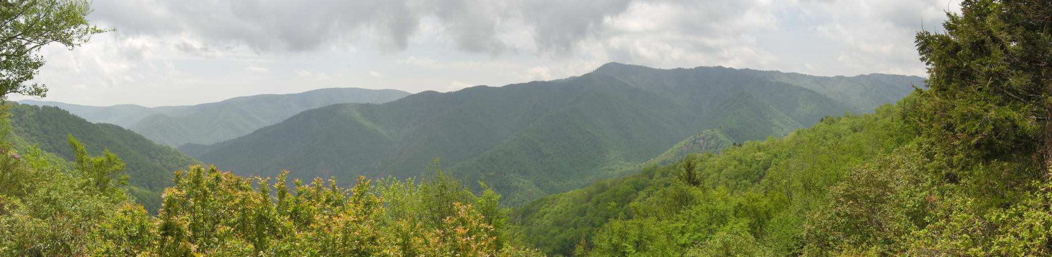 Panoramic view of lush green mountains under a cloudy sky.