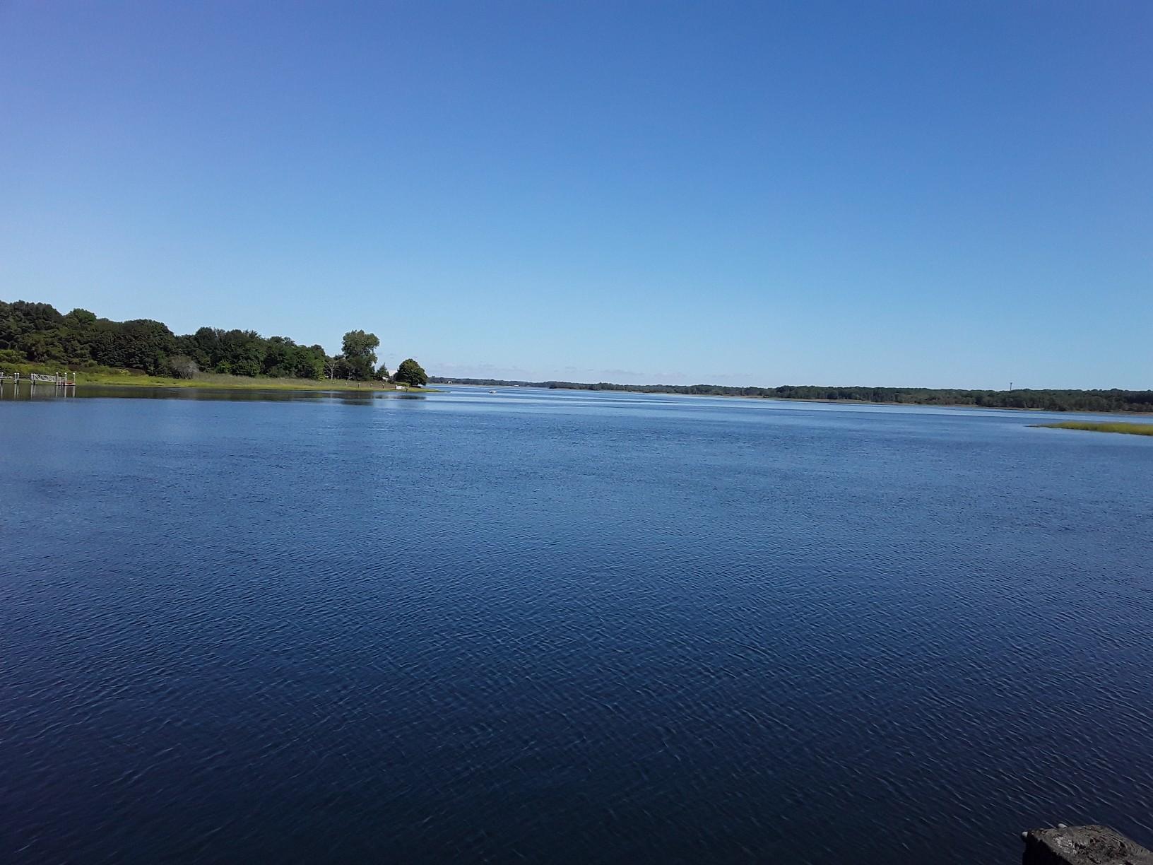 Wide expanse of calm blue water under a clear blue sky, distant treeline.