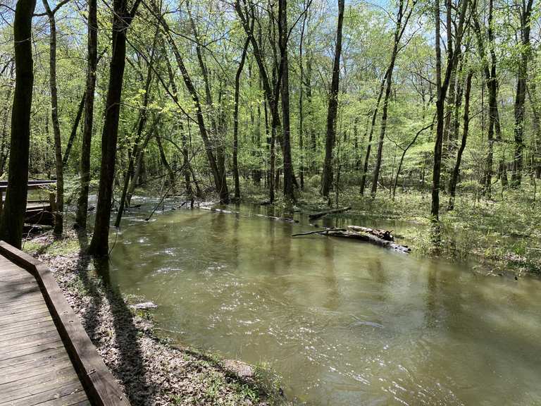 Lake Peachtree nach Flat Creek Boardwalk Schleife -- Peachtree City ...