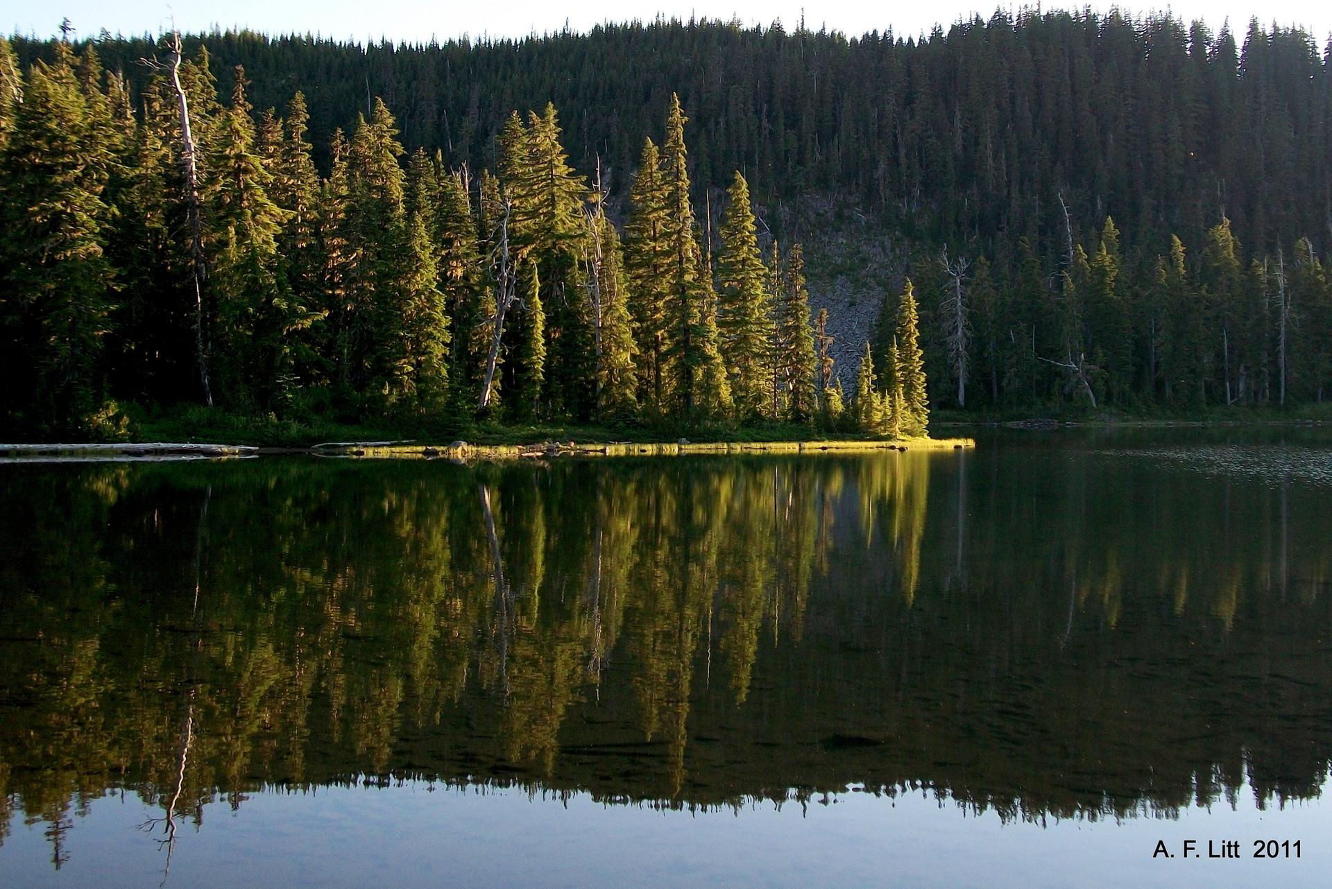 Calm lake reflecting a sunlit evergreen forest on a distant hillside.