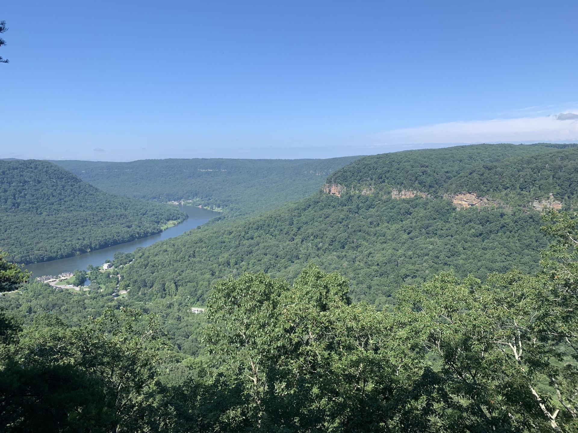 Panoramic view of a winding river through a lush green forested valley under clear skies.