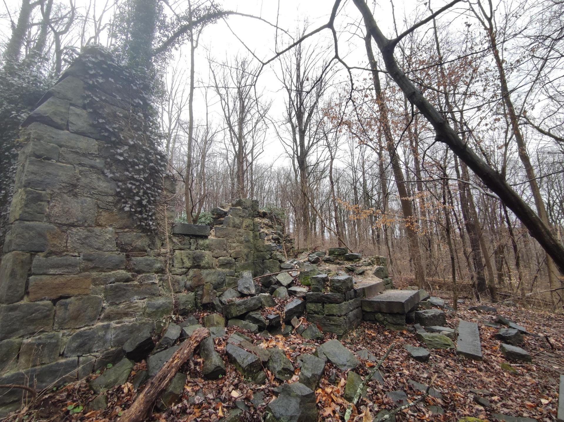 Overgrown stone ruins stand amidst a bare winter forest under an overcast sky.