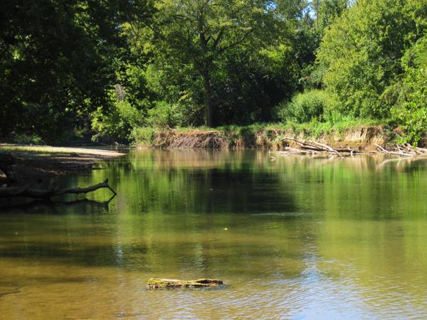 A calm river flows past lush green trees on a bright day.