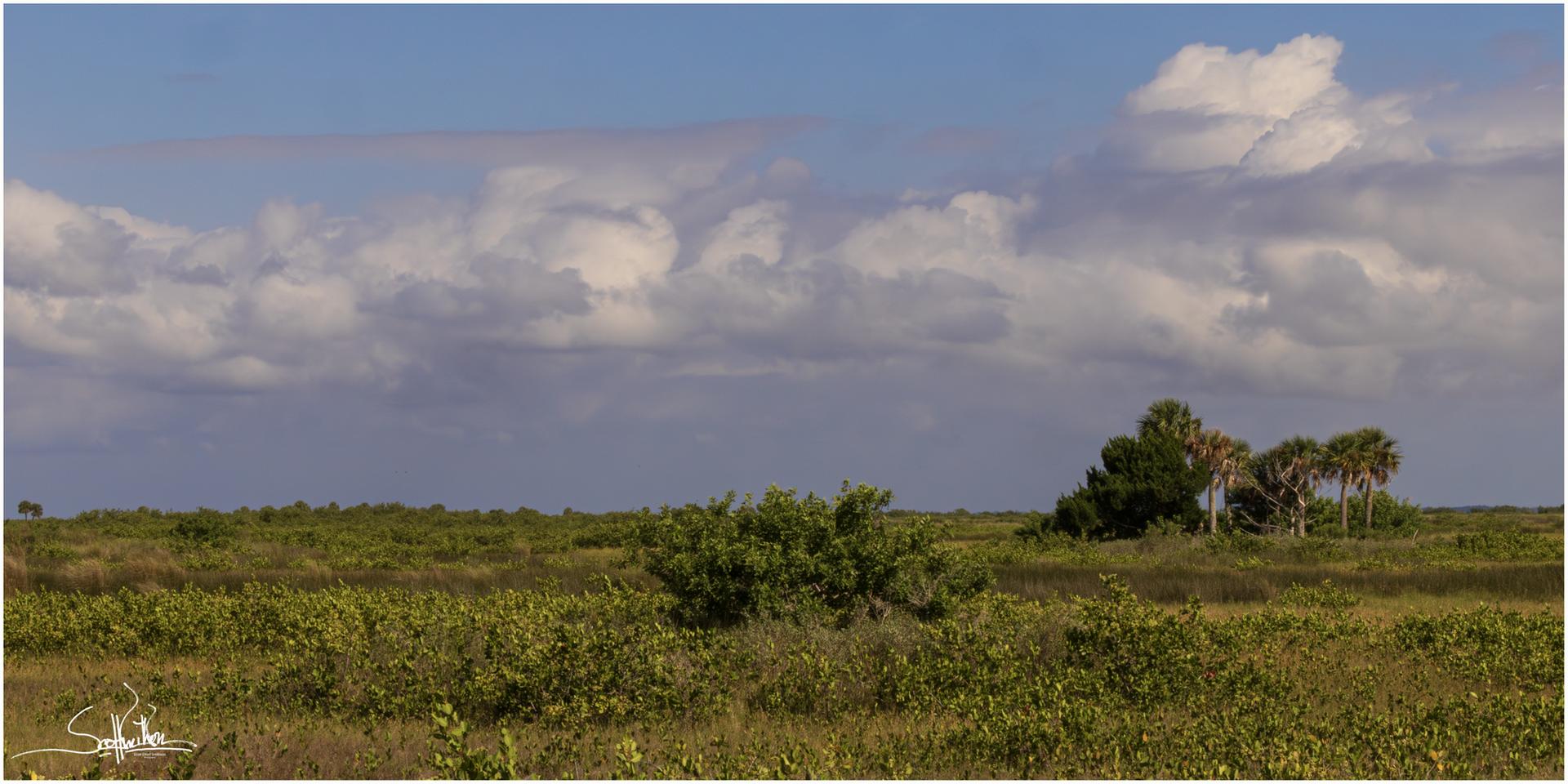Expansive marshland under a partly cloudy sky, with distant trees and bushes.