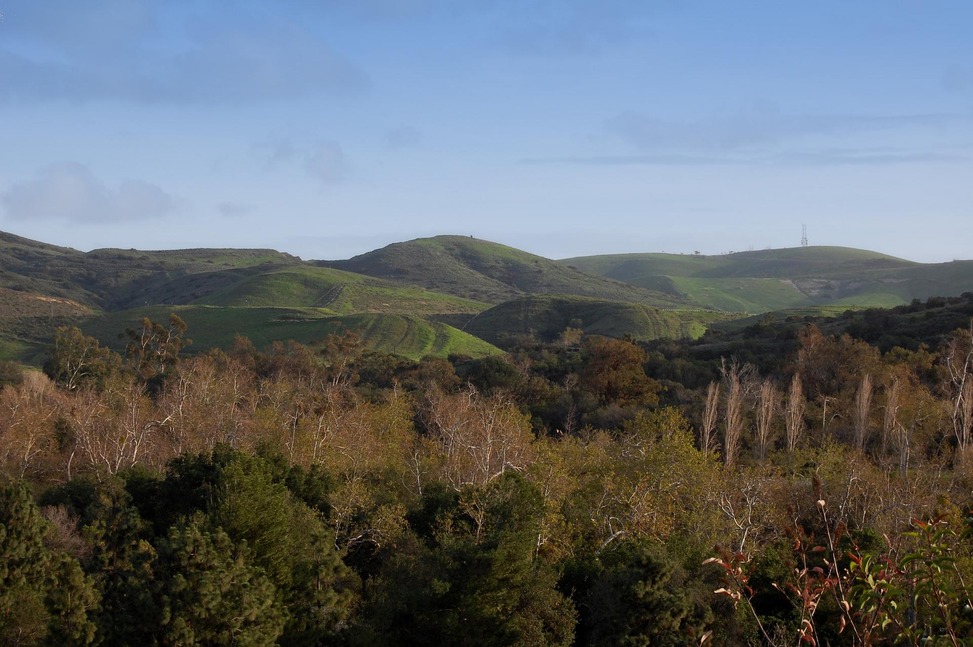 Expansive view of rolling green hills and a dense forest under blue sky.