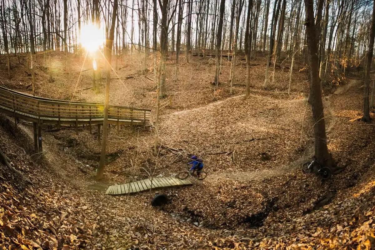 A mountain biker rides a trail through a sunlit, leaf-covered forest valley.