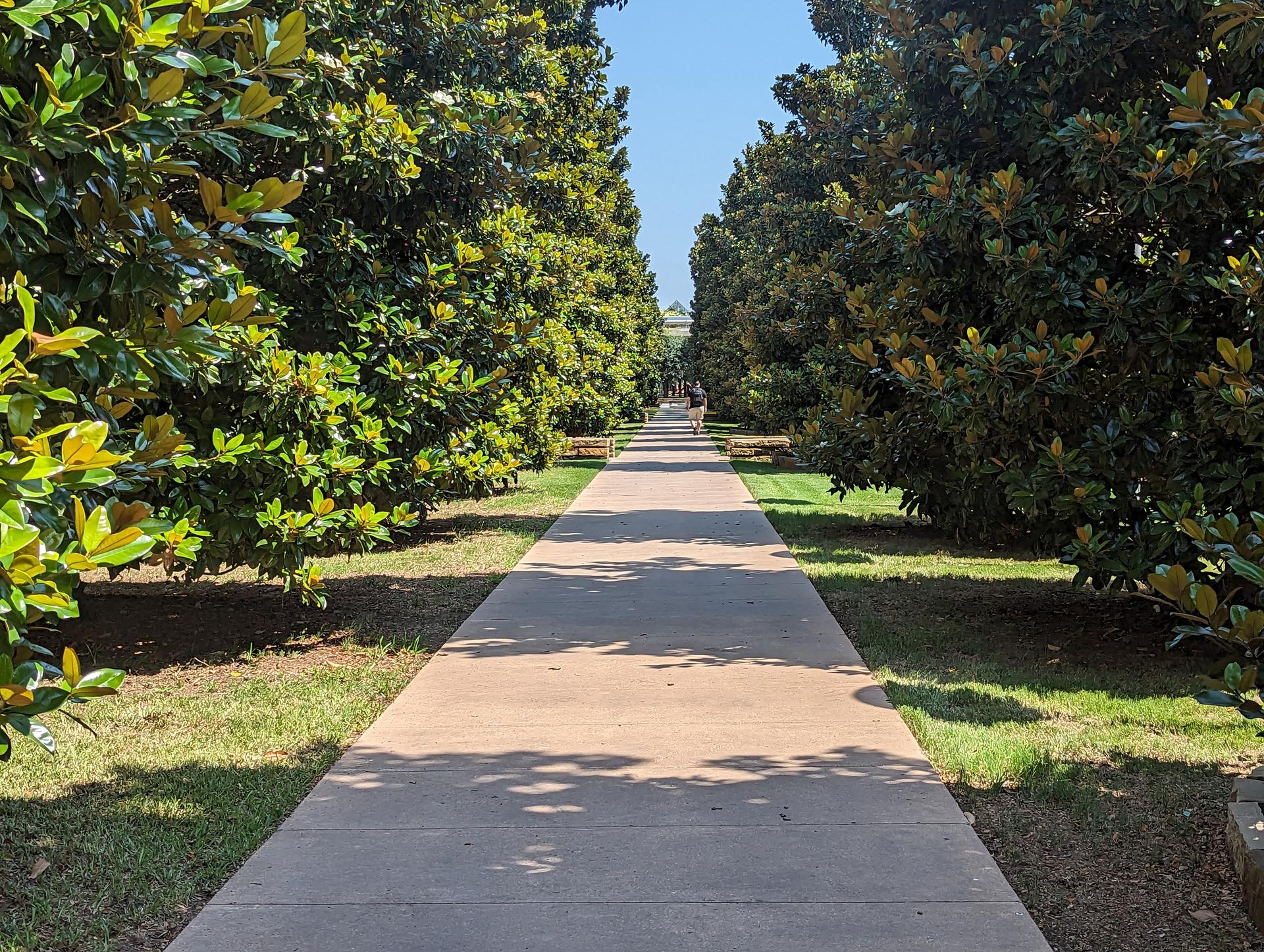 A long, straight paved path lined with tall green trees on a sunny day.