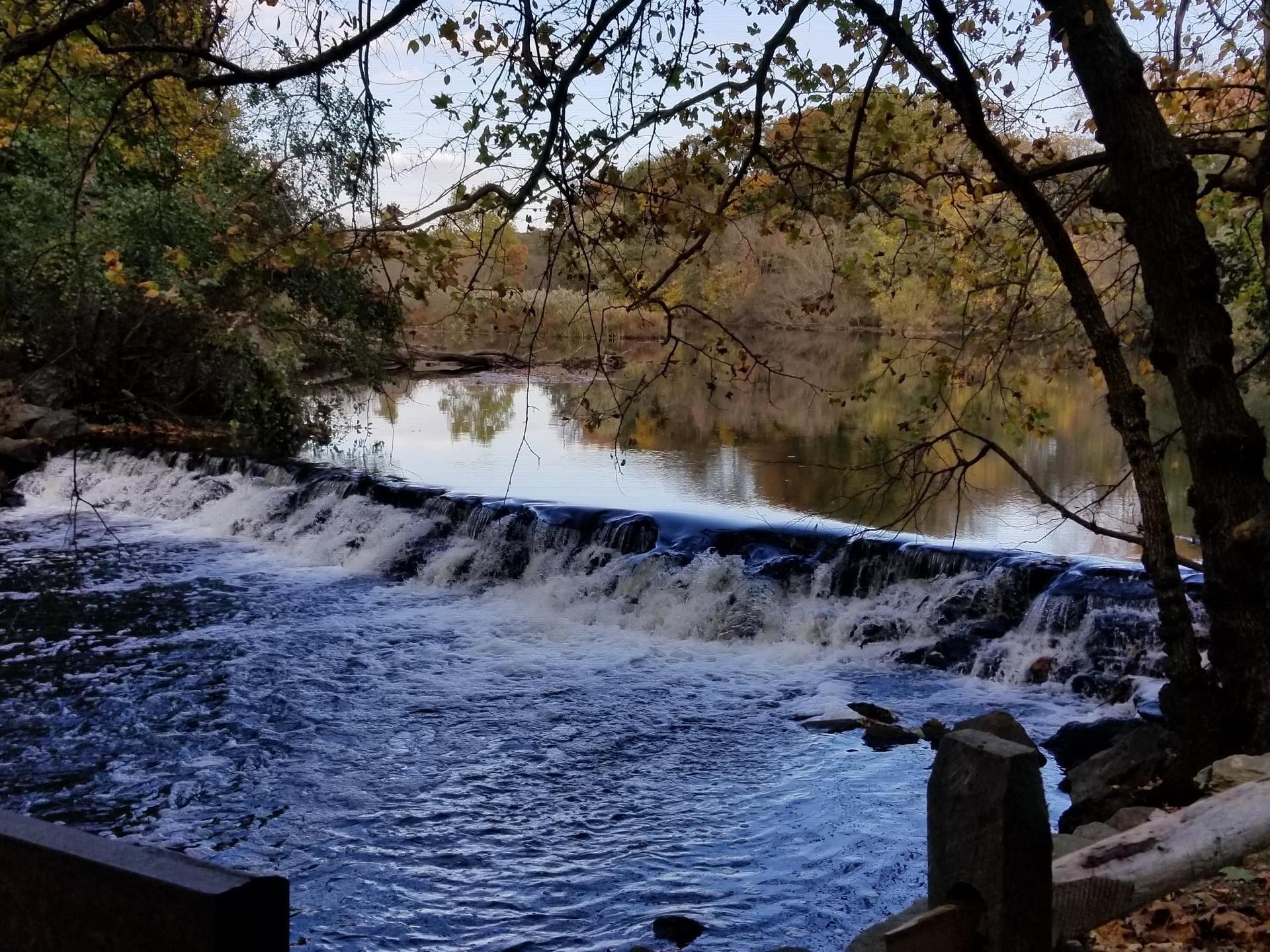 A river with a small waterfall, surrounded by autumn trees under an overcast sky.