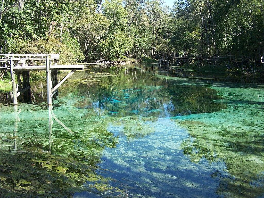 Clear turquoise spring water with a wooden dock surrounded by lush green trees.