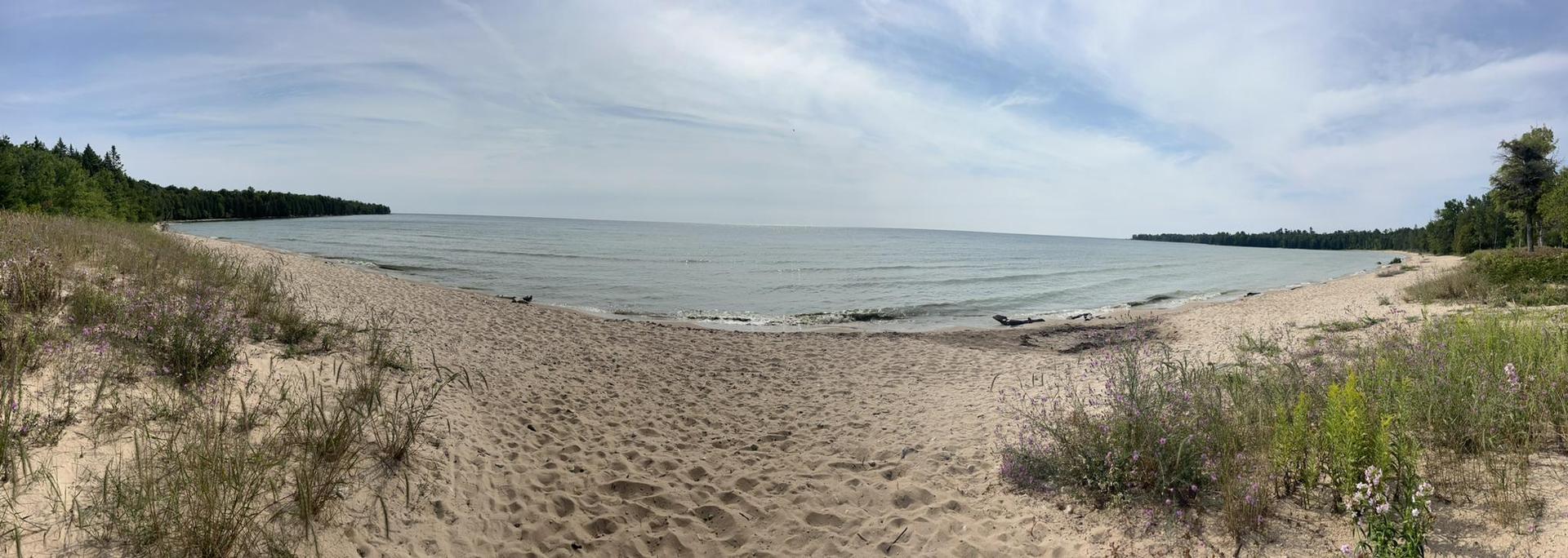 Sandy beach with sparse vegetation, calm water, and distant forest under cloudy sky.