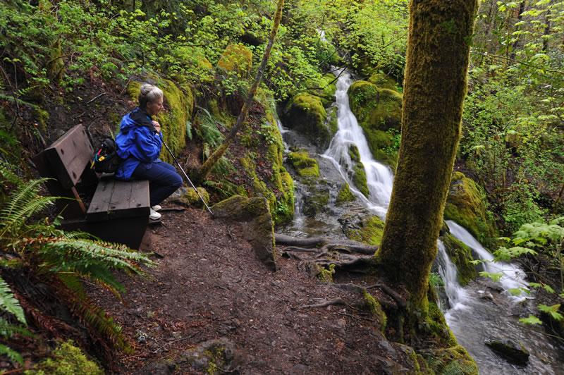 A person sits on a bench next to a mossy waterfall in a verdant forest.