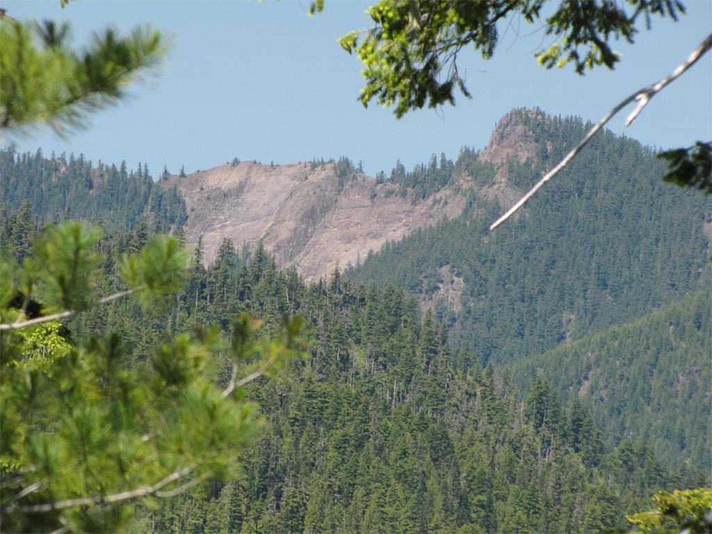 Mountain landscape with dense green forests, rocky peaks, and a bright blue sky.