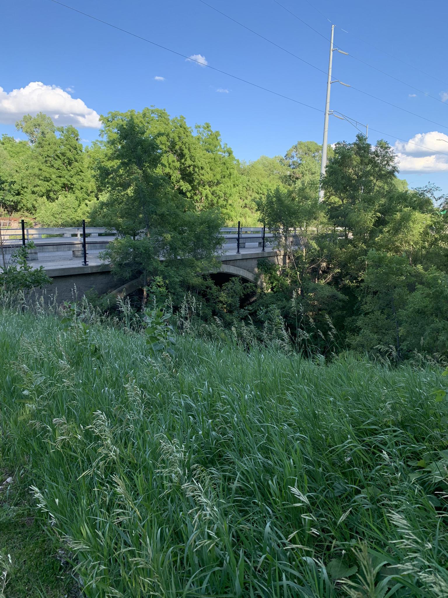 A bridge over a culvert, surrounded by lush green trees and tall grass.