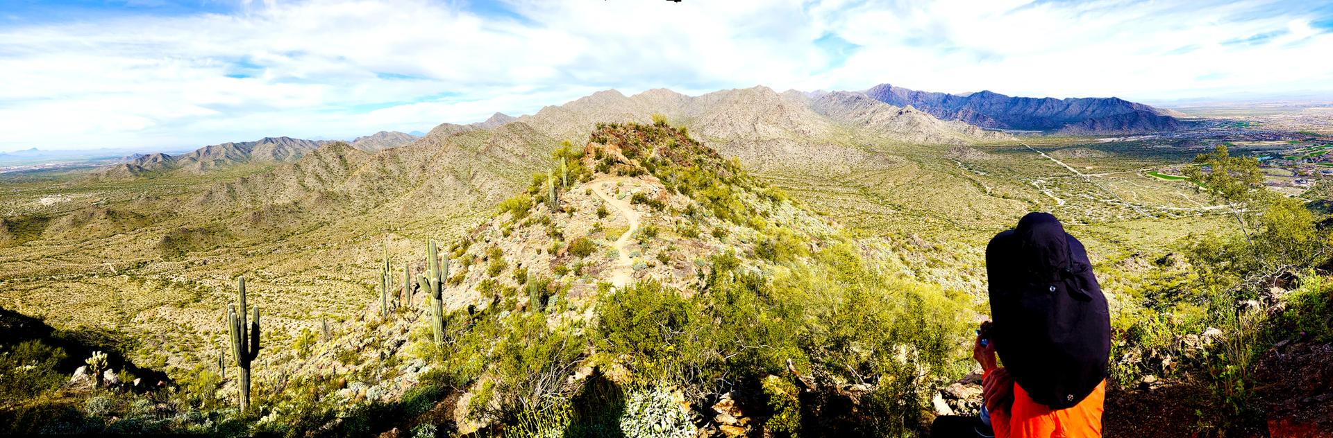 Person with backpack views vast desert mountains and cacti under bright sky.