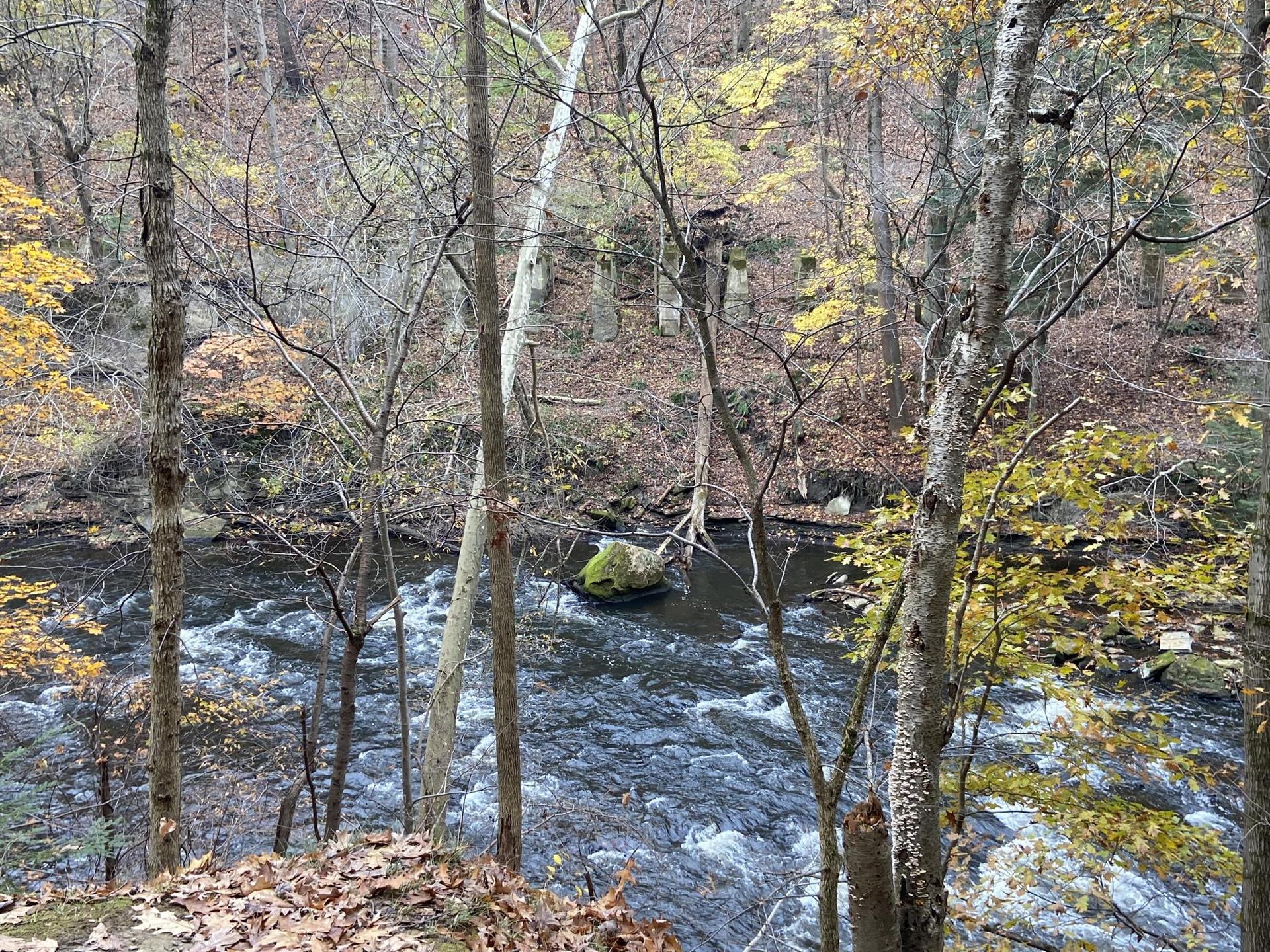 Rushing river viewed through bare trees with hints of autumn foliage.