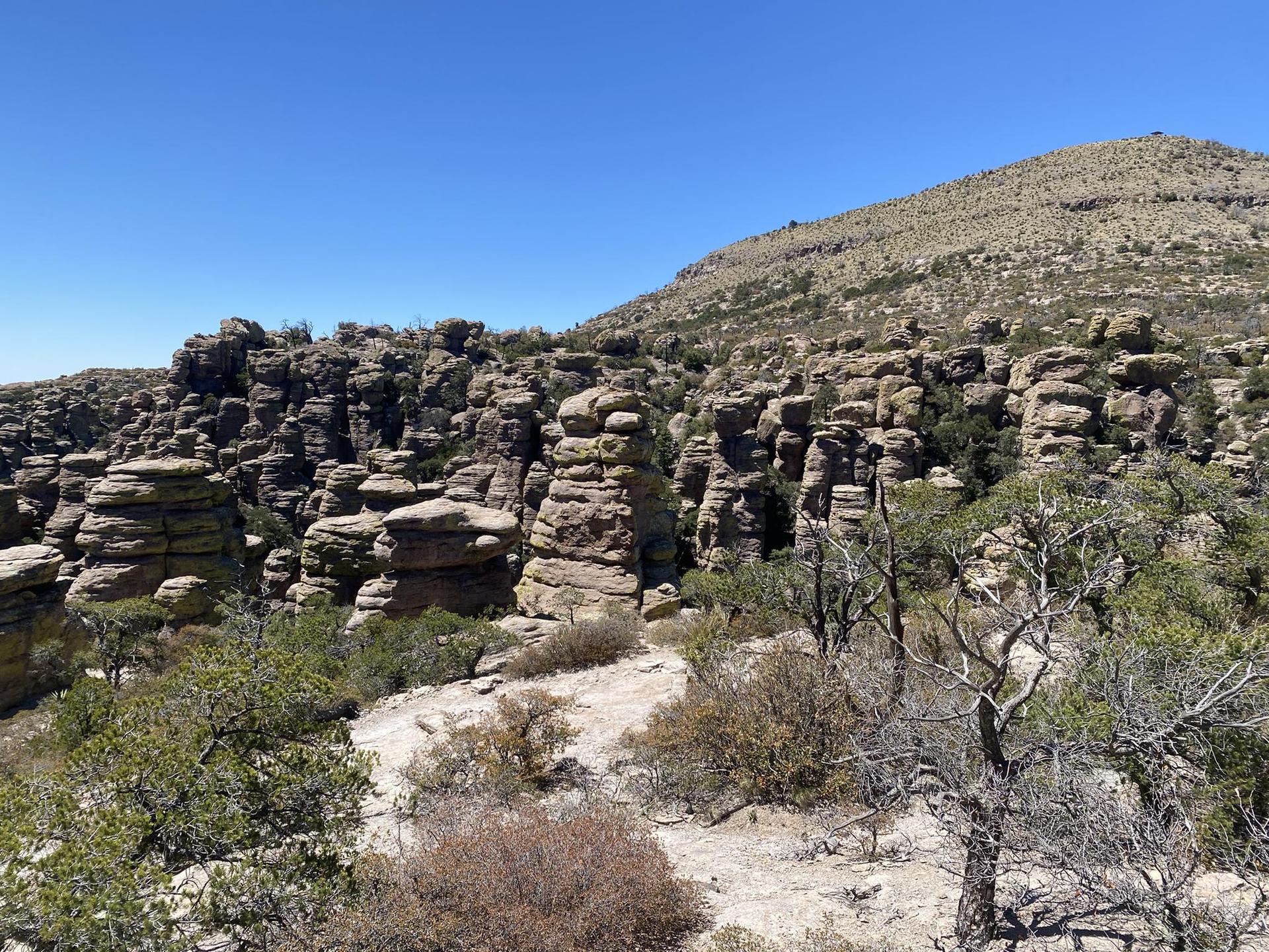 A vast landscape of unique rock formations and sparse trees under a clear sky.