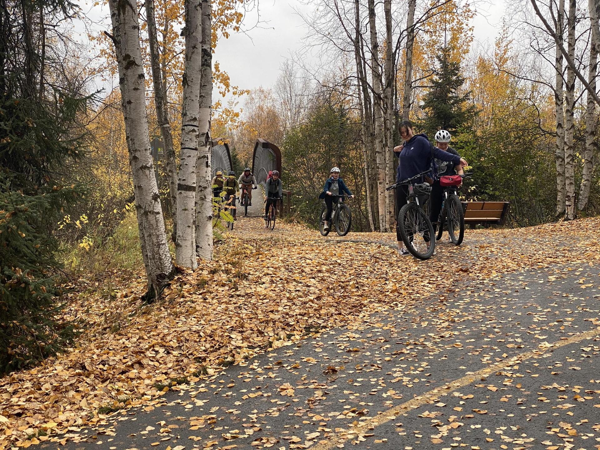 Cyclists on a leaf-covered paved path through an autumn forest with white trees.