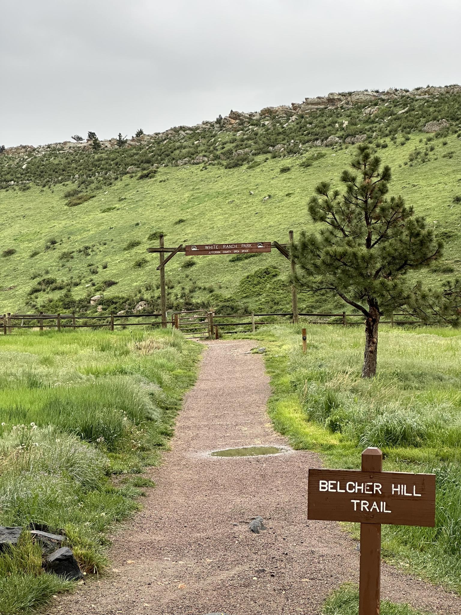 Dirt path leading to a wooden gate in a green valley under an overcast sky.
