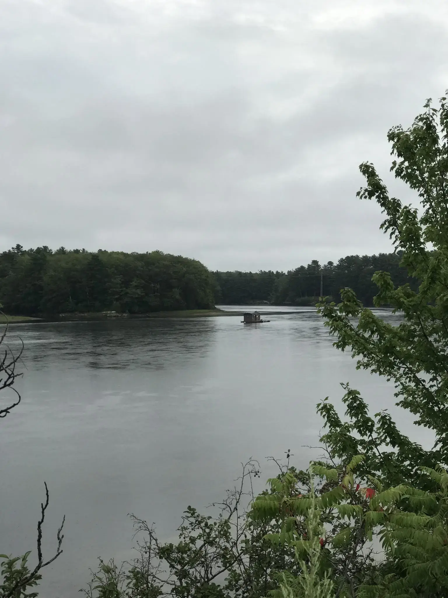 A boat navigates a wide river under an overcast sky, framed by trees.