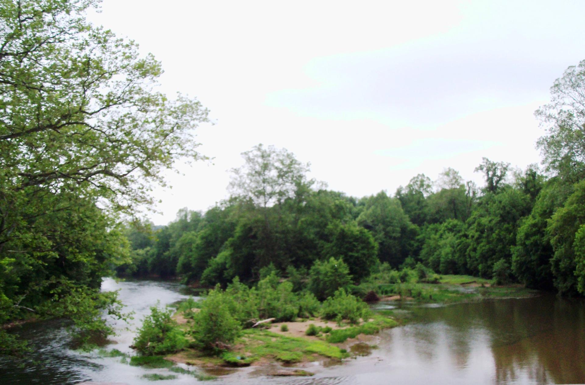 Wide river flowing through a lush green forest under an overcast sky.